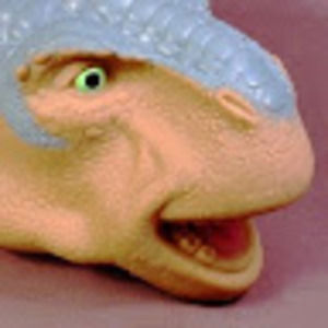 Meet your Posher, Austin